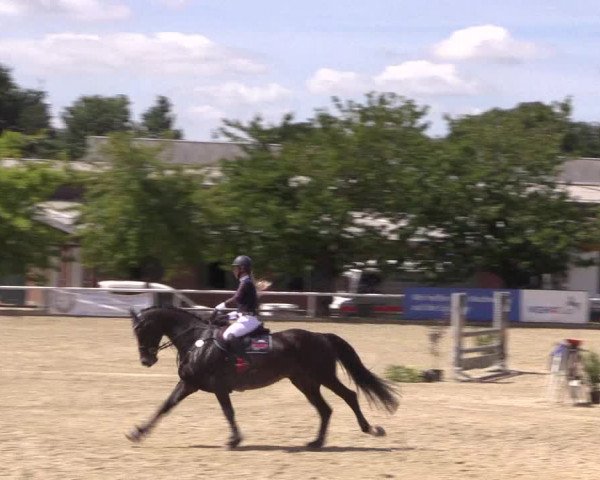 Reitturnier Haren 2018