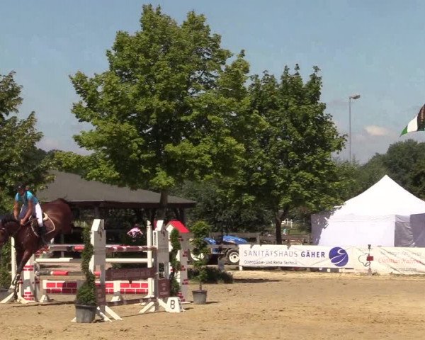 Reitturnier Münster-Roxel 2018