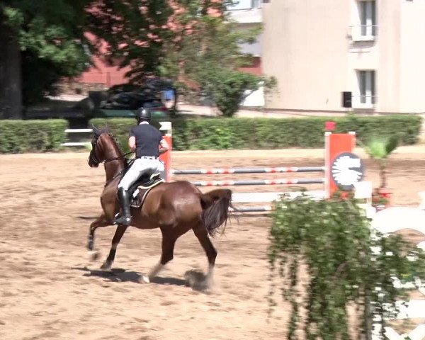 Reitturnier Prussendorf 2018