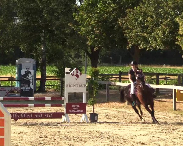 Reitturnier Münster-Roxel 2018
