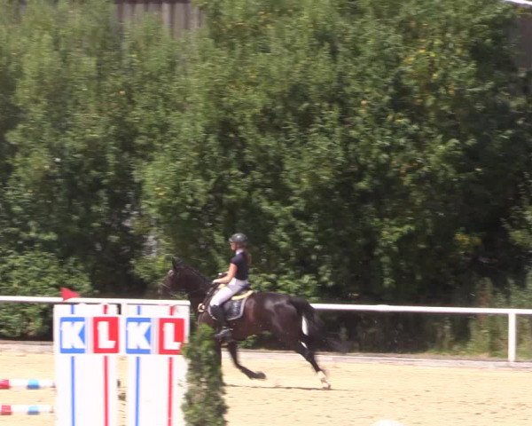 Reitturnier Haren 2018
