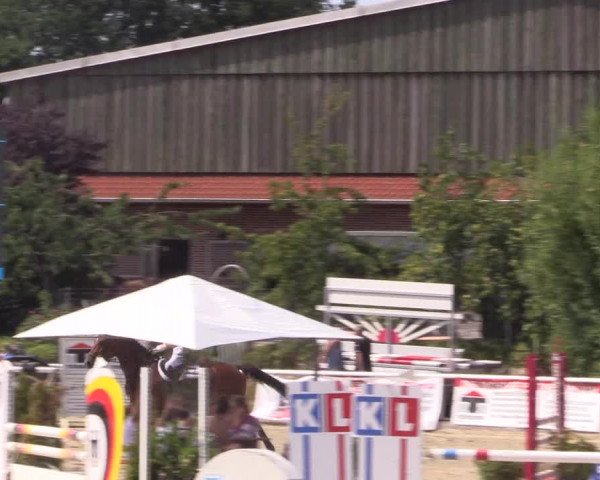 Reitturnier Haren 2018
