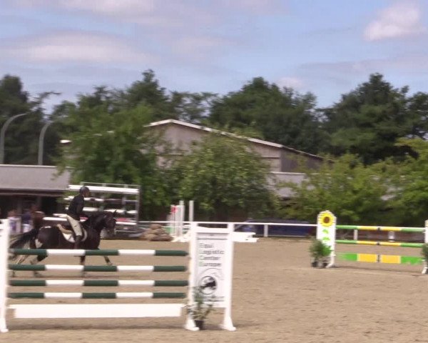 Reitturnier Haren 2018