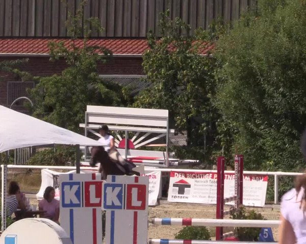 Reitturnier Haren 2018