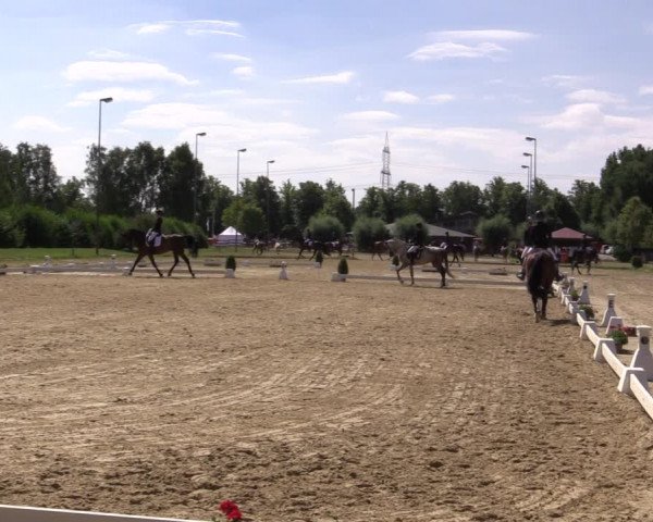 Reitturnier Münster-Roxel 2018