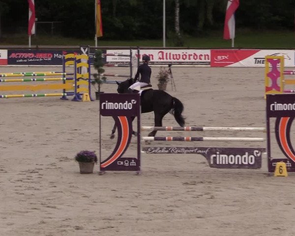 Reitturnier Westergellersen 2021