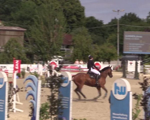 Reitturnier Haren 2018