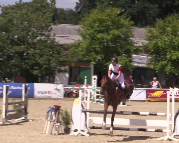Reitturnier Haren 2018