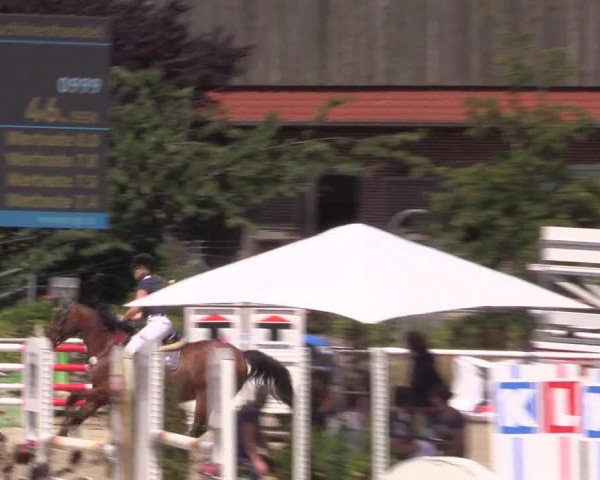 Reitturnier Haren 2018