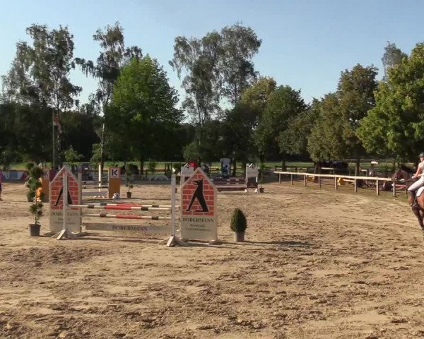 Reitturnier Münster-Roxel 2018
