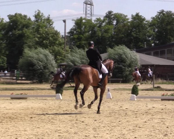 Reitturnier Münster-Roxel 2018