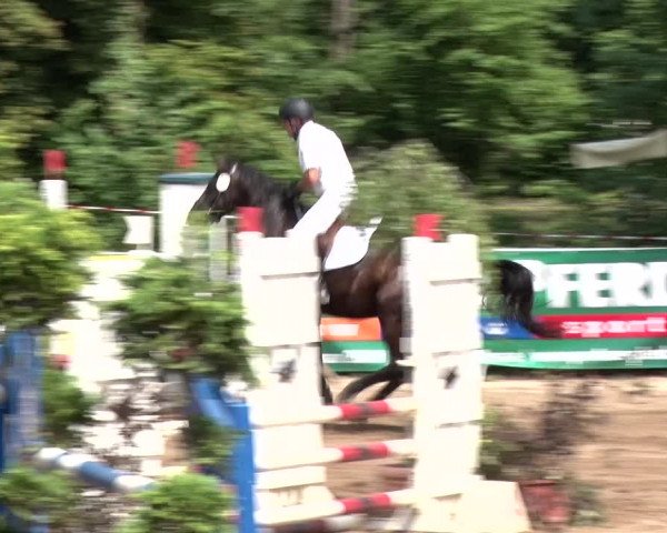 Reitturnier Prussendorf 2018