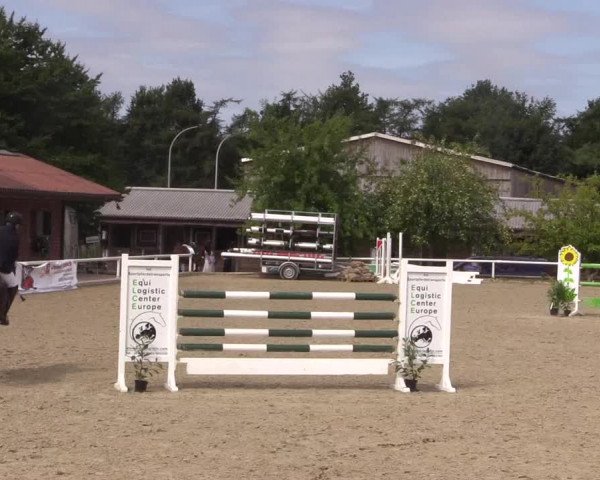 Reitturnier Haren 2018