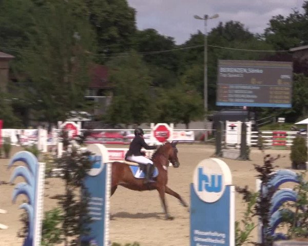 Reitturnier Haren 2018