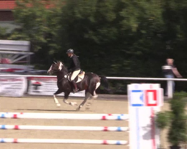 Reitturnier Haren 2018