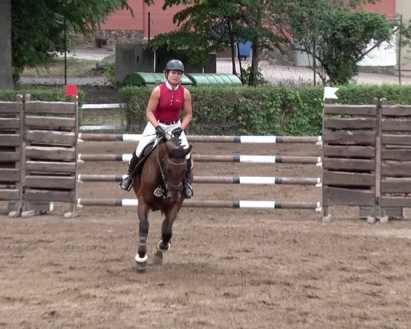 Reitturnier Prussendorf 2018