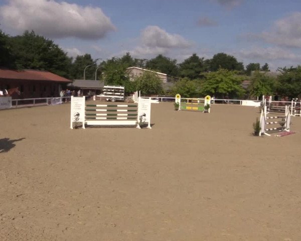 Reitturnier Haren 2018