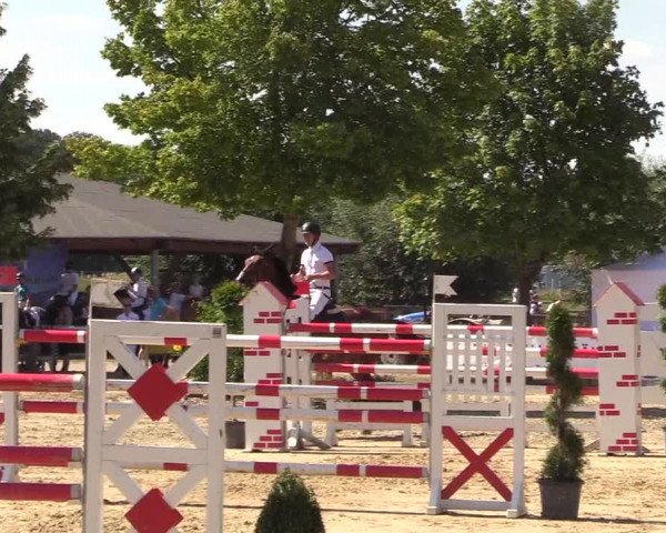 Reitturnier Münster-Roxel 2018