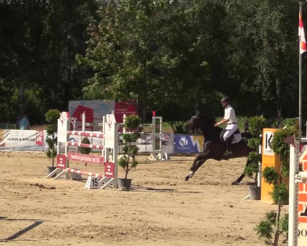 Reitturnier Münster-Roxel 2018