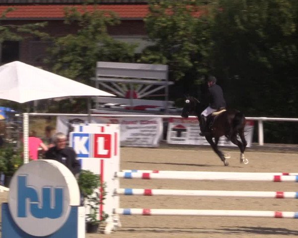 Reitturnier Haren 2018
