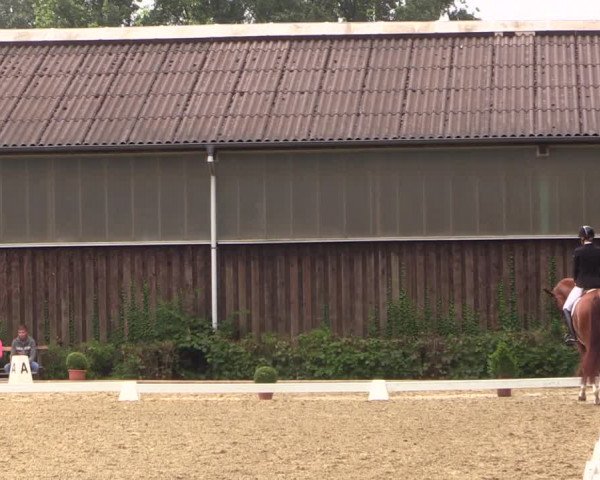 Steinhagener Reitertage 2018