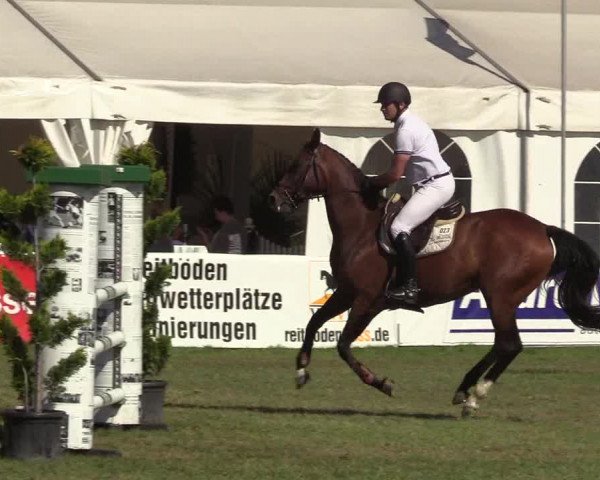 Steinhagener Reitertage 2018