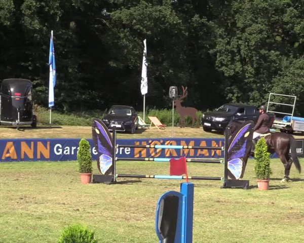 Steinhagener Reitertage 2018