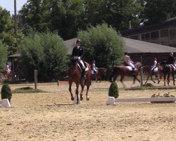 Reitturnier Münster-Roxel 2018