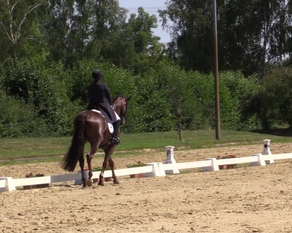 Reitturnier Münster-Roxel 2018