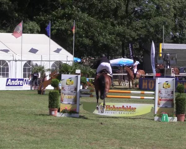 Steinhagener Reitertage 2018