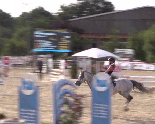 Reitturnier Haren 2018