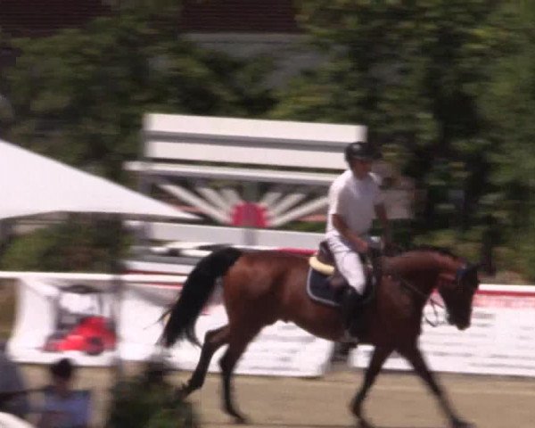 Reitturnier Haren 2018
