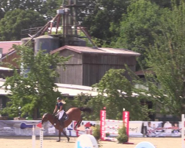 Reitturnier Haren 2018