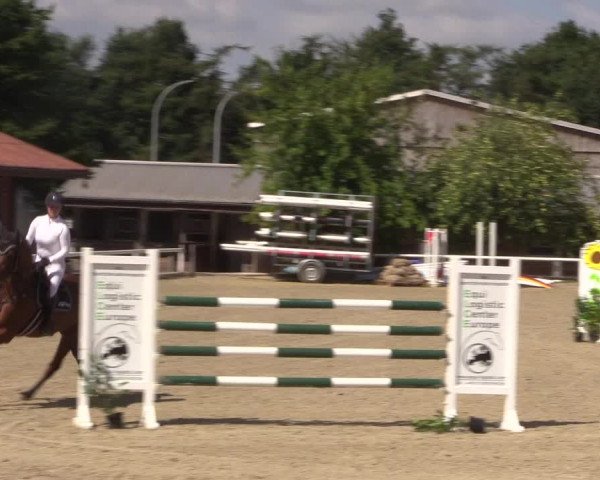 Reitturnier Haren 2018