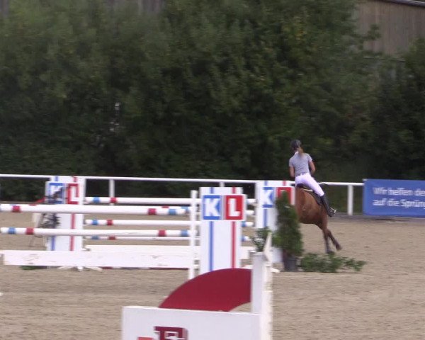 Reitturnier Haren 2018