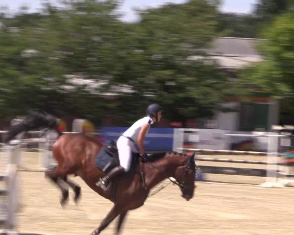 Reitturnier Haren 2018