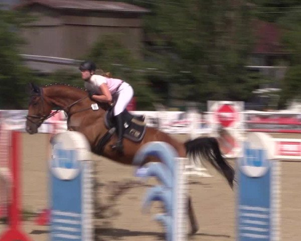 Reitturnier Haren 2018