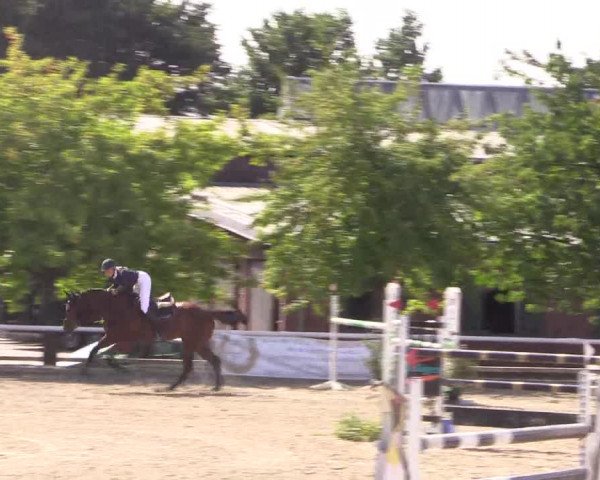Reitturnier Haren 2018