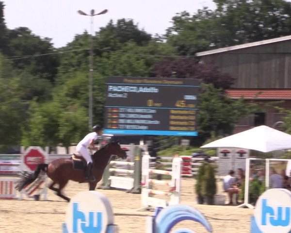 Reitturnier Haren 2018