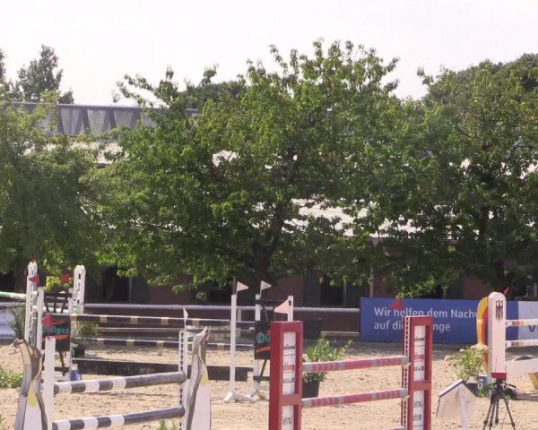 Reitturnier Haren 2018