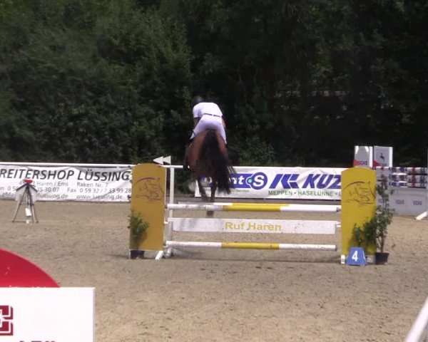 Reitturnier Haren 2018
