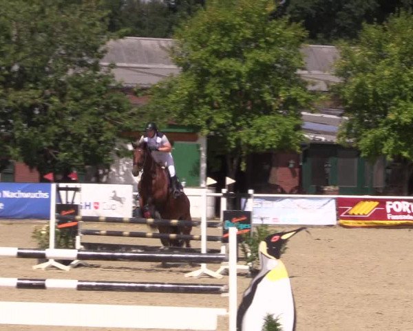 Reitturnier Haren 2018