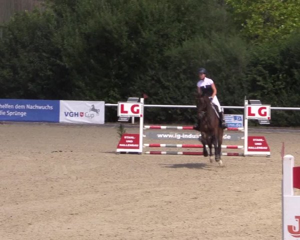 Reitturnier Haren 2018