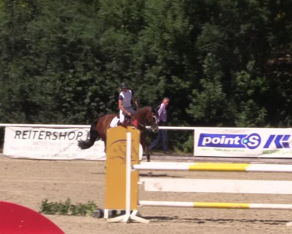 Reitturnier Haren 2018