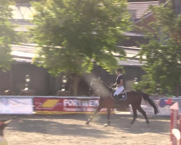 Reitturnier Haren 2018