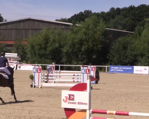 Reitturnier Haren 2018