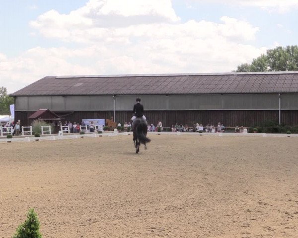 Steinhagener Reitertage 2018