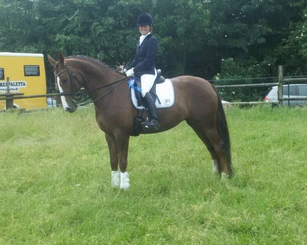 dressage horse Sheragona W (Rhinelander, 2007, from Sorento OLD)