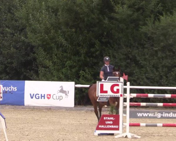 Reitturnier Haren 2018