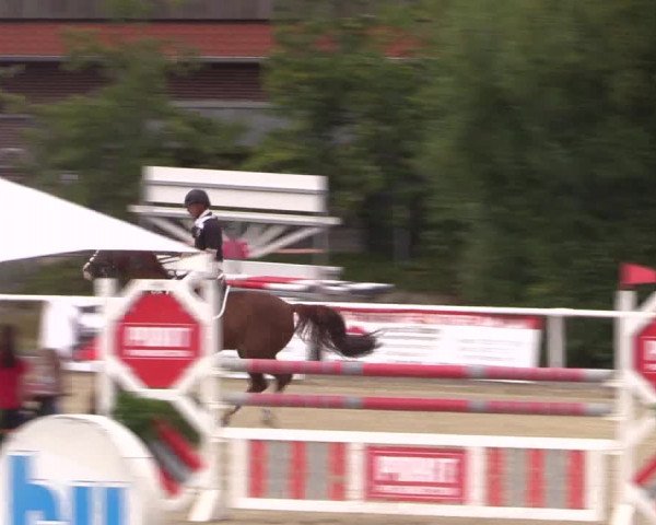 Reitturnier Haren 2018
